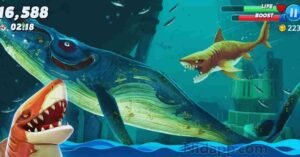 Hungry Shark World Mod APK 6.3.6 (Unlimited Money) 1